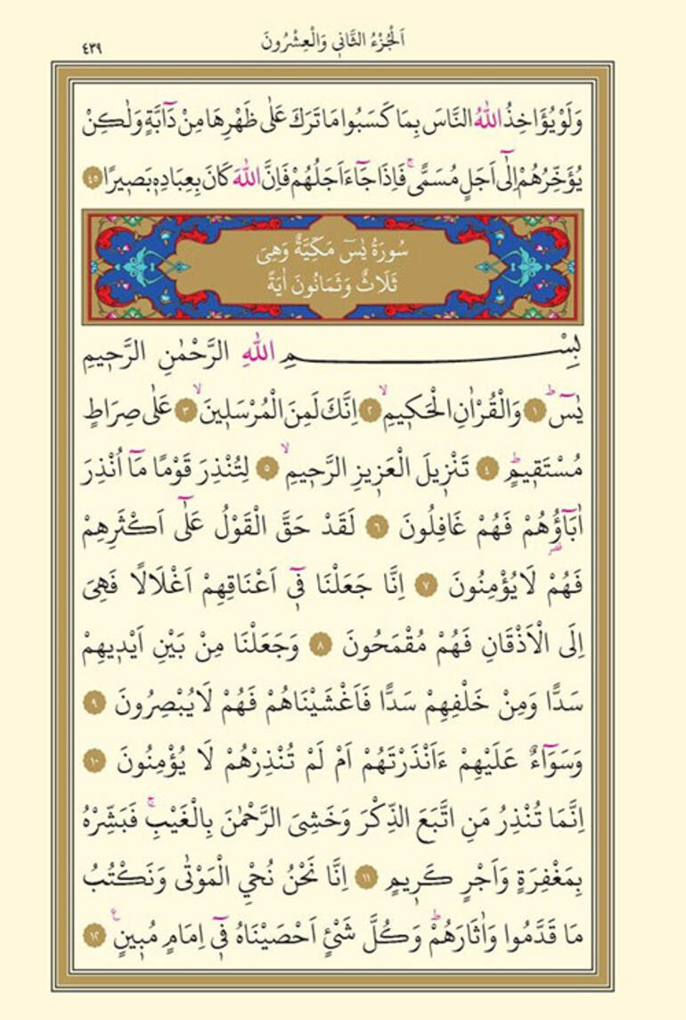Yasin Suresi okunuşu | Yasin Suresi Arapça - Türkçe oku/dinle: Diyanet Yasin Suresi fazileti