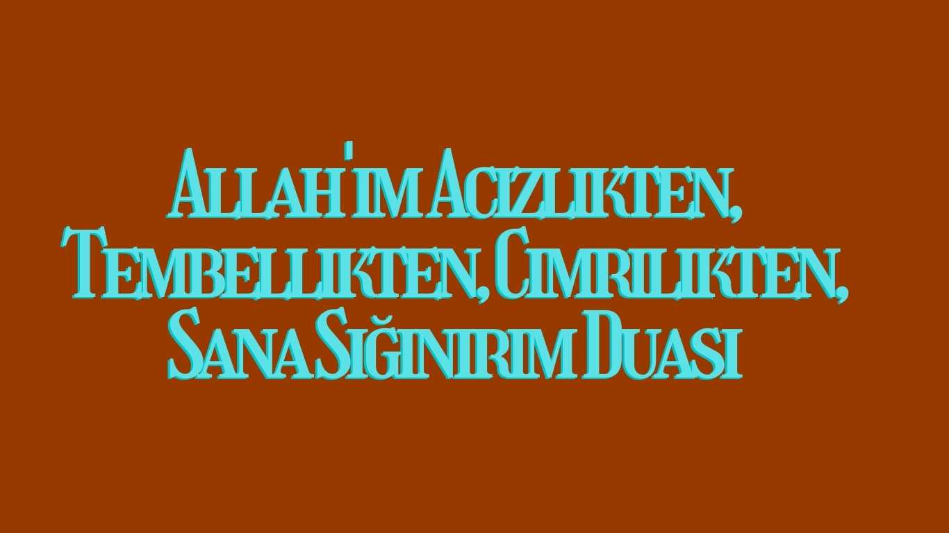 Allah’ım Acizlikten, Tembellikten, Cimrilikten, Sana Sığınırım Duası | TurkArama Motoru | Sağlık ve Günlük Yaşam için Pratik Bilgiler