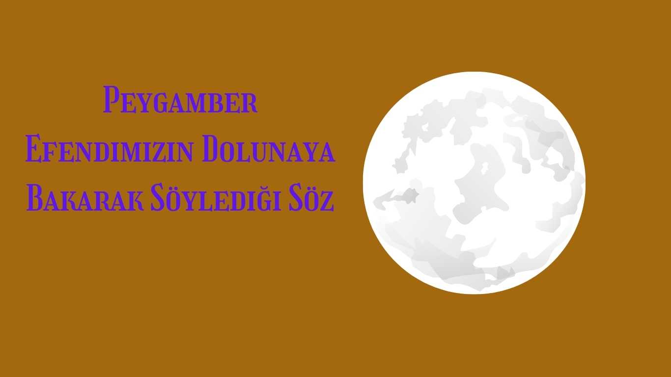 Peygamber Efendimizin Dolunaya Bakarak Söylediği Söz | TurkArama Motoru | Sağlık ve Günlük Yaşam için Pratik Bilgiler