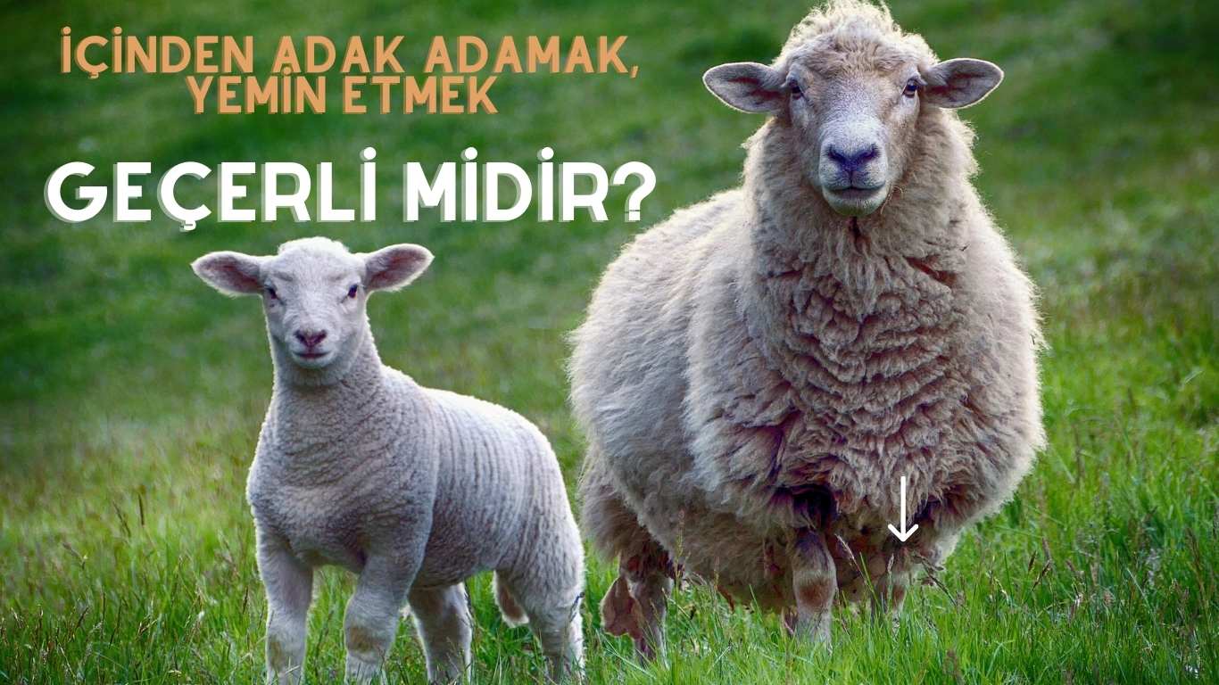 İçinden Adak Adamak, Yemin Etmek Geçerli midir? | TurkArama Motoru | Sağlık ve Günlük Yaşam için Pratik Bilgiler