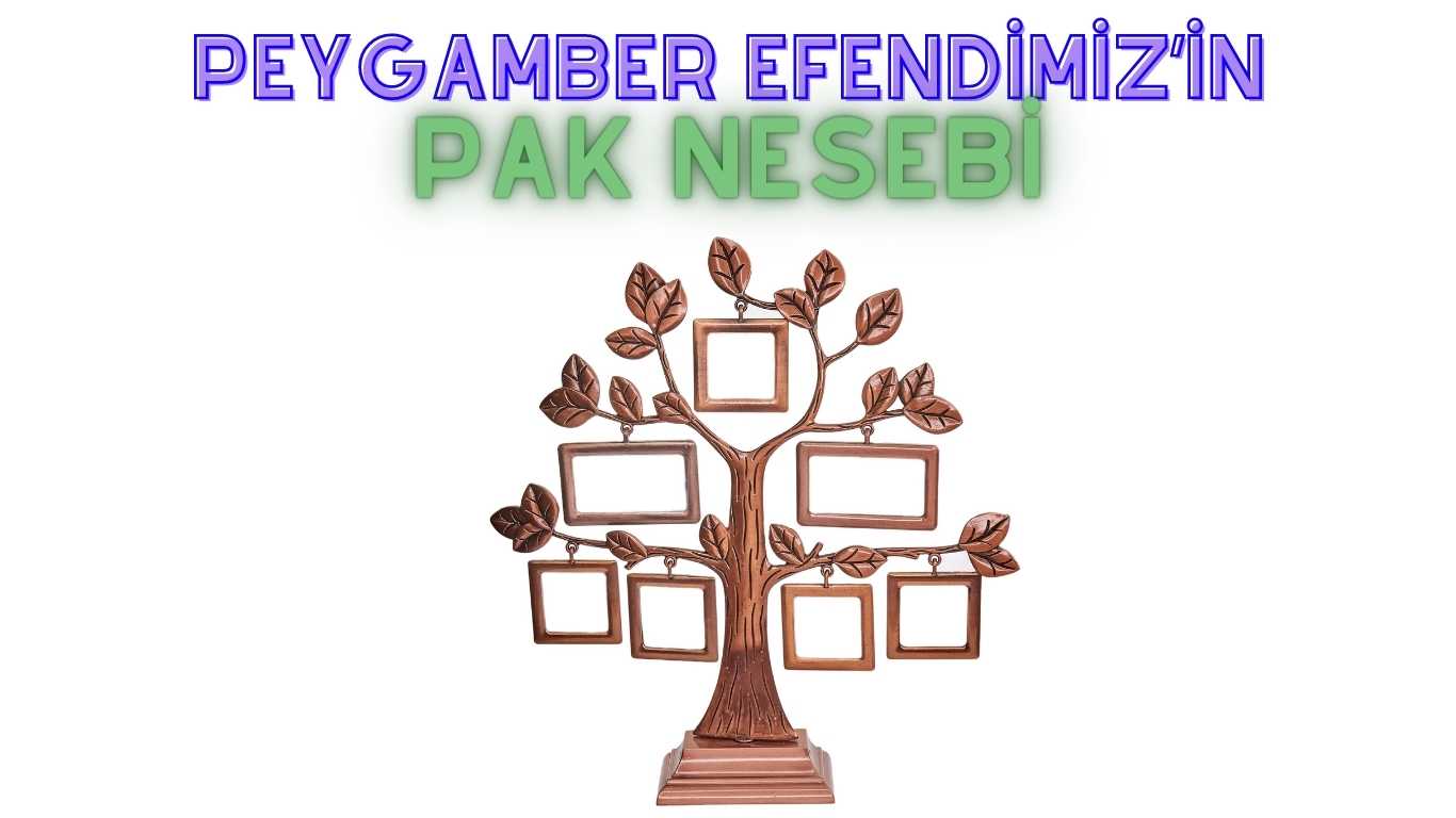 Peygamber Efendimiz’in Pak Nesebi | TurkArama Motoru | Sağlık ve Günlük Yaşam için Pratik Bilgiler