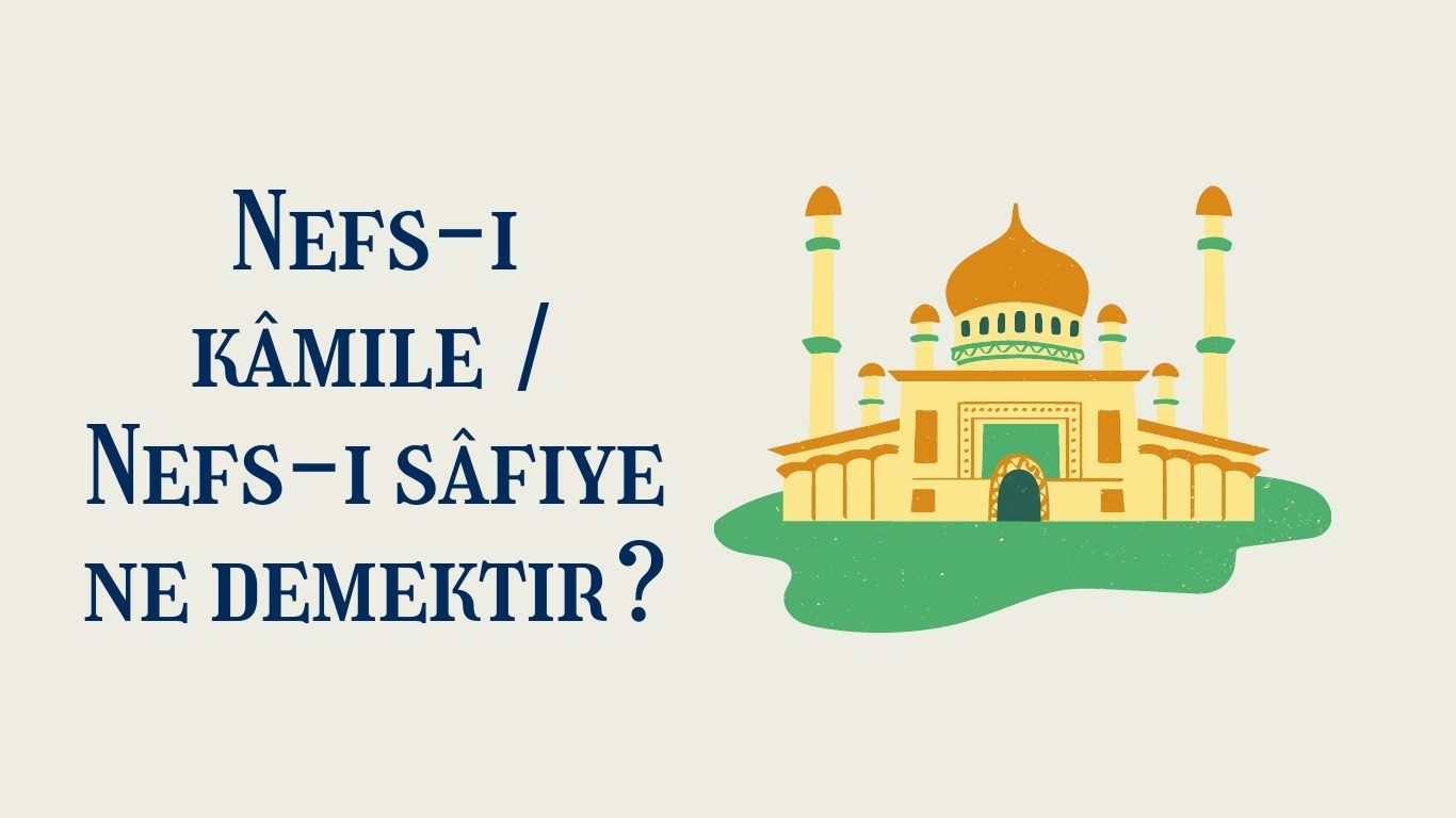 Nefs-i kâmile Ne Demek? | TurkArama Motoru | Sağlık ve Günlük Yaşam için Pratik Bilgiler