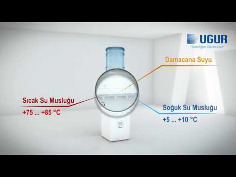 Suyun En Sağlıklı Hali | TurkArama Motoru | Sağlık ve Günlük Yaşam için Pratik Bilgiler